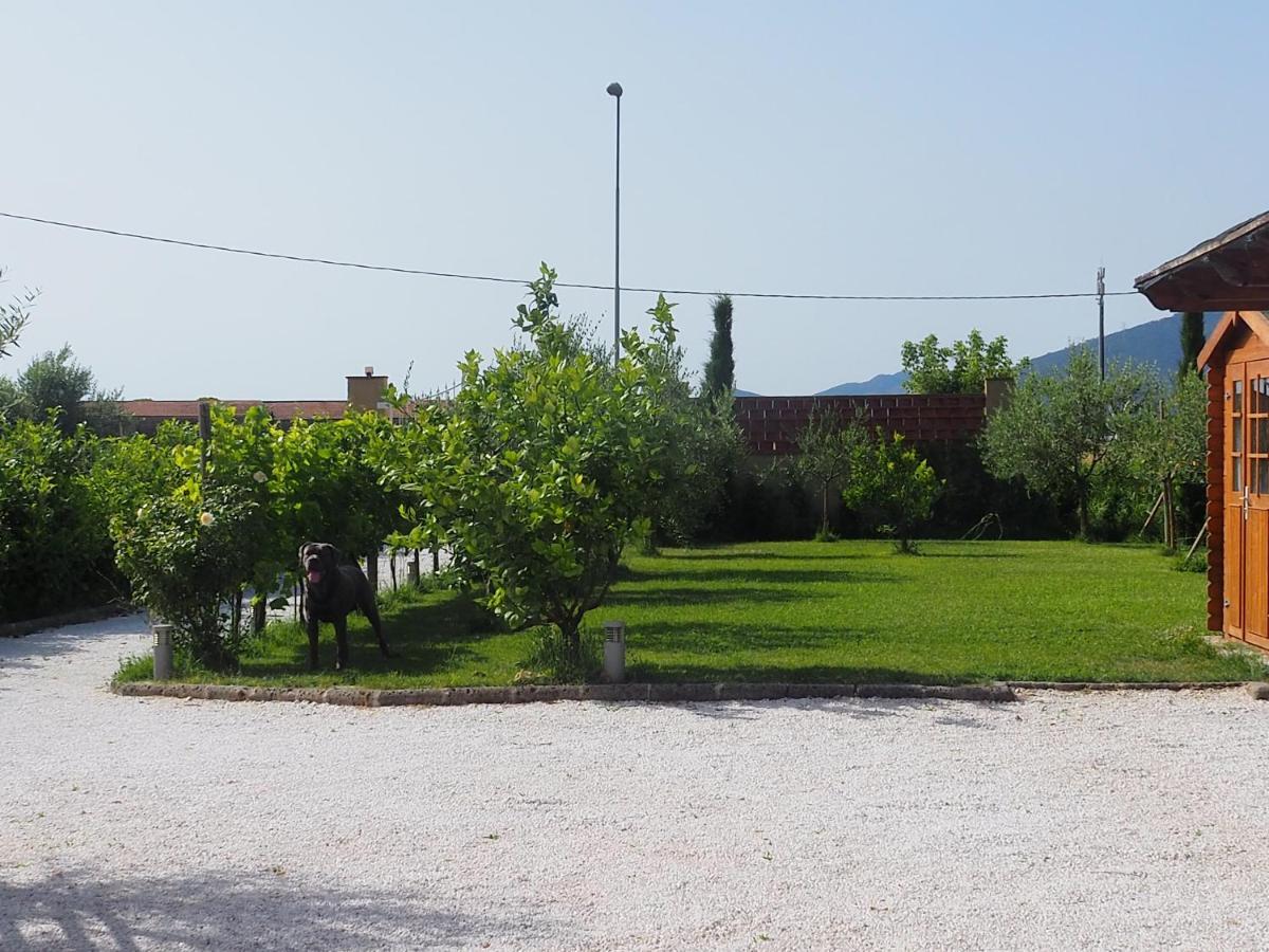 La Casa Di Samarcanda Uliveto Terme Екстериор снимка