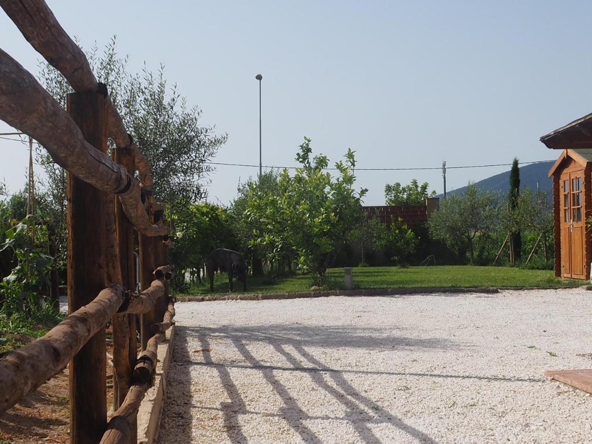 La Casa Di Samarcanda Uliveto Terme Екстериор снимка