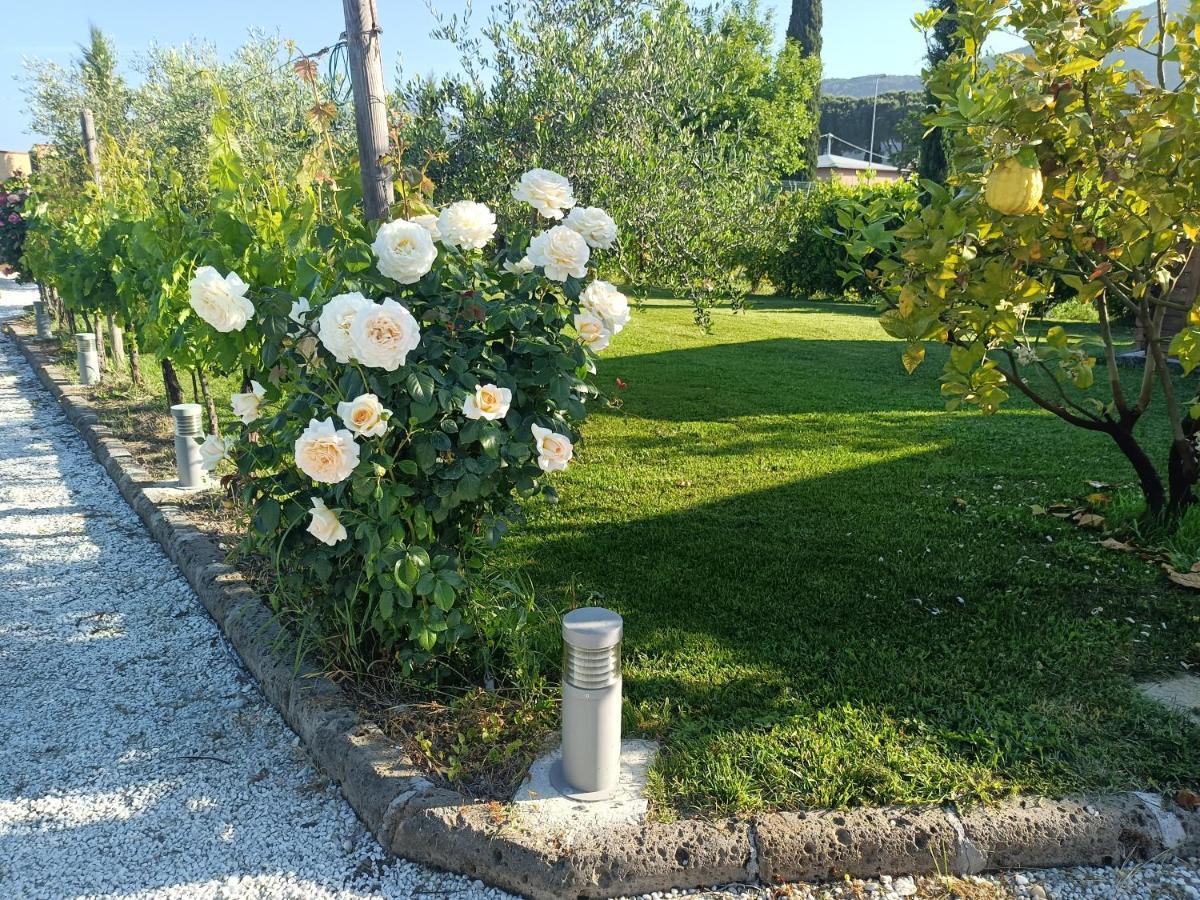La Casa Di Samarcanda Uliveto Terme Екстериор снимка